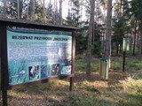 Tablice edukacyjne Nadleśnictwa Bolesławiec na granicy rezerwatu przyrody Brzeźnik