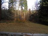 Kolory jesieni w rezerwacie Krokusy w Górzyńcu - wiosną powrócą tam fioletowe krokusy / Fot.: A. Weremczuk