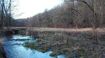 Widoczna za potokiem łąka w rezerwacie przyrody „Wąwóz Siedmicki” po wykoszeniu / Fot. Matylda Rudnik