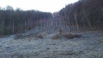 Efekt końcowy po przeprowadzeniu wycinki krzewów i podrostu drzew w rezerwacie „Góra Miłek” z pozostawieniem podrostu na powierzchni nie większej niż 20% powierzchni przeznaczonej do wycinki / fot. M. Rudnik