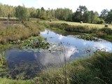 Użytek ekologiczny 'Święte Jezioro' / Fot. M. Kwiatkowski