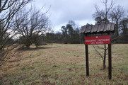 Łąka w rezerwacie przyrody „Łeg Korea” po wykoszeniu trzciny oraz wycince zakrzaczeń / Fot. Piotr Bokła
