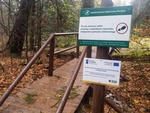 Podest widokowy w rezerwacie przyrody 'Krokusy w Górzyńcu', fot. J. Zając